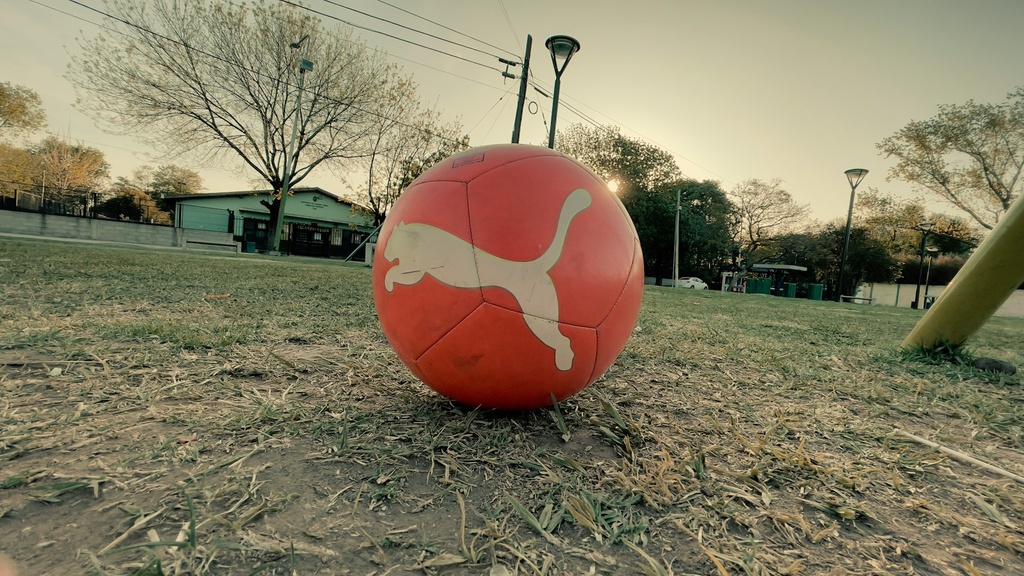 Pelota de fútbol